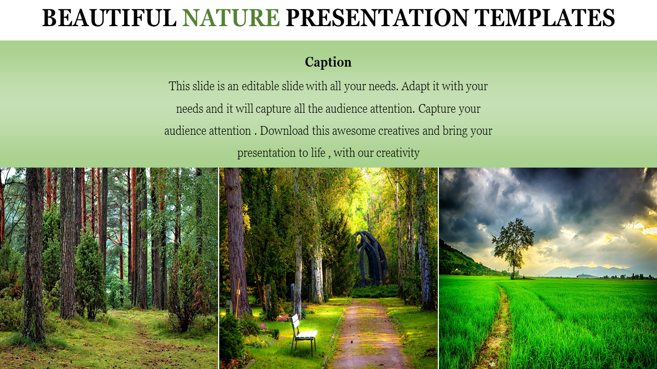 ppt presentation nature life download